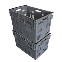 Boîtier plastique pour légumes, tomates et fruits, en plastique, vente à domicile, de haute qualité, prix d'usine,