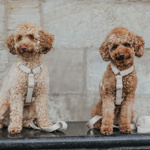 Arnés personalizado para perro Teddy Sherpa, dispensador de bolsas para caca, juego de Correa y Collar para perro resistente y cálido - Product Image 4