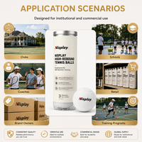 Balles de tennis en vrac Nisplay, professionnelles, à noyau en caoutchouc haute élasticité, en feutre de laine, pour machine lance-balles, OEM