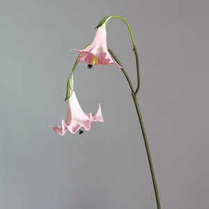 YOPIN-7858 Flor Artificial de Datura <span class=keywords><strong>Stramonium</strong></span> Blanca de Alta Calidad con 2 Cabezas, Tacto Real, de PU, para Centro de Mesa, Decoración de Bodas - Product Image 4