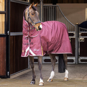 Durable Lightweight Horse Stable <b>Sheet</b> Winter Rug Standard Neck Design with Two Leg Straps Portable Equestrian Blanket for Cold - Product Image 1