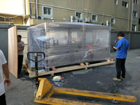 Machine d'emballage automatique horizontale pour flocons de maïs, machine d'emballage multifonctionnelle pour sachets alimentaires, boîtes en carton