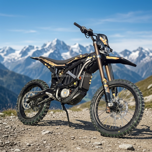Cargador Estándar para Motocicleta Eléctrica 2026 Ultra 24.5KW 74v 60Ah, el Más Reciente - Product Image 1