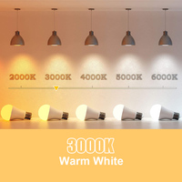 Ampoule LED Dimmable Edison A19 DC12V 24V 12W E27 Lampe SMD 2200K Éclairage Intérieur Résidentiel Corps en Verre E26 110V 220V 275V 48V