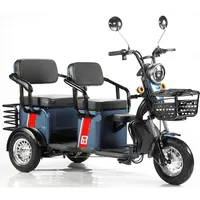 מטען חשמלי קורקינט עבור קשישים חשמלי עיר אופני חשמלי תלת אופן קטנוע כיסא גלגלים 3 גלגלים חשמלי אופניים