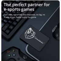 256GB SSD Sabit Disk SSD Sata 3 SSD 2.5 İnç Sabit Sürücü Laptop Toptan Satış