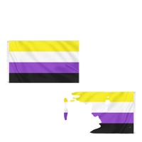 Drapeau Non-Binaire Jaune Blanc Violet Noir 3x5ft Personnalisé en Polyester Prêt à Expédier en Gros pour Événements Nationaux Personnalisés