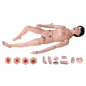 MCT-KN-004 đào tạo y tế chấn thương điều dưỡng manikin - Product Image 2