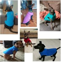 Pull en polaire pour chien, veste chaude d'hiver, gilet, manteau, pull-over avec anneau en D pour laisse, pour petit chiot, teckel, yorkie, chihuahua
