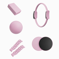 Ensemble de 5 pièces pour Pilates : Ballon et Anneau de Pilates, Bandes de Résistance en Tissu avec Poids pour Chevilles et Poignets pour l'Entraînement à Domicile et en Studio