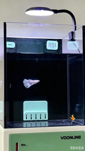 Luz LED de alto brillo para acuario, lámpara de iluminación para tanque de agua pequeño, luz para plantas acuáticas, impermeable, ahorro de energía, paisajismo, Mini - Product Image 5