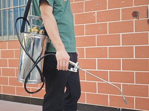 Pulvérisateur manuel à pompe en acier inoxydable 6L, pulvérisateur à pression portable pour usage domestique, jardinage et désinfection - Product Image 4