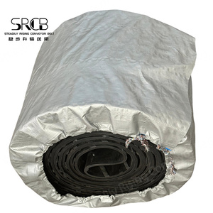 Fabrikada kömür için yüksek kaliteli EP1200/5 ısıya dayanıklı kauçuk konveyör kemerleri-endüstriyel konveyör bant makineleri için Ideal - Product Image 2