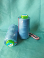 Fil de polyester 100 % teint en couleur unie, haute ténacité, pour broderie, crochet, point de croix et couture de sacs à la machine – Vente en gros