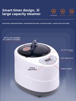 Petite machine à vapeur de sauna pour la maison, sauna de beauté pour la maison, boîte de sauna pour la relaxation, la détoxification