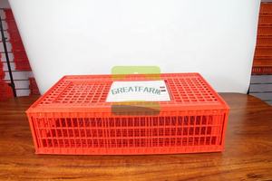 Day-Old Chicks Transport Boxes - PP Ventilation Holes & Insulated Walls, 100-Pc Stackable transport cage animal cage - Product Image 3