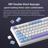 98Keys Swappable USB-C Wireless for Mechanical Gaming Keyboard Programmable RGB Backlit 8KHz Polling Rate Desktop