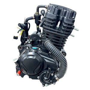 Motor de Motocicleta de 1 Cilindro, 4 Tiempos, Refrigerado por Agua, Encendido CDI, Nuevo, para Triciclos <span class=keywords><strong>Suzuki</strong></span> y Kawasaki, 250cc, 300cc, 350cc - Product Image 5