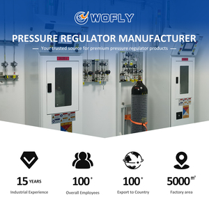 Oksijen Ortamı için WR1B Serisi Mikro Basınç Düşürücü Regülatör 6000psig AST G93 Sınıf C - Product Image 6