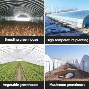Postes de Soporte para Invernadero de Fibra de Vidrio, Estacas de FRP de Alta Resistencia para Cultivo Agrícola de Vegetales y Flores, Tamaño Personalizado - Product Image 6