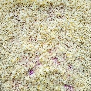 ข้าวบาสมาติเมล็ดยาวพรีเมียมอินเดีย นิว ครอป ฟิตทรี อินเตอร์เนชั่นแนล อายุการเก็บรักษา 24 เดือน สำหรับการจัดจำหน่ายอาหารทั่วโลก - Product Image 1