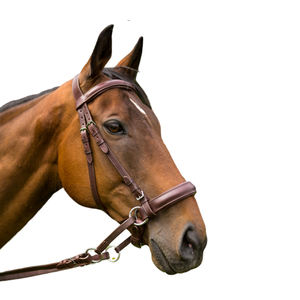 Brida de Cuero Sintético para Montar a Caballo, Personalizada con Logotipo, Alta Calidad, Tamaños y Colores Personalizados, Servicio OEM, VALNERO - Product Image 2