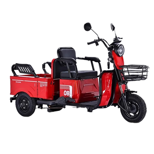 Triciclo Elettrico Falcon per Trasporto Merci, <span class=keywords><strong>Carrozzeria</strong></span> Aperta, Carico Utile 300-400kg, 2 Passeggeri, Alimentato a Batteria 48V, Autonomia 30-50km, Velocità 30km/h - Product Image 3