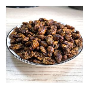 הנמכר ביותר אכיל חרקים להקפיא מיובש ארוחת תולעים מיובש גלמים תולעת משי - Product Image 5