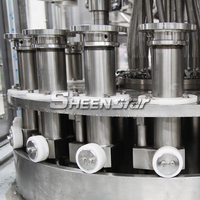 Prix usine 12000BPH Ligne automatique de remplissage et d'emballage de jus de fruits de melon d'eau de mangue pour bouteille de jus