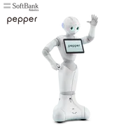 سوفت بانك-روبوت آلي ذكي للتعليم والبحث ، أدوات مساعدة للتدريس ، يساعد على التعلم بواسطة الإنسان