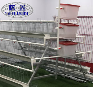 <span class=keywords><strong>Prix</strong></span> usine longue durabilité métal galvanisé un type automatique batterie couche cages à œufs de poulet en malaisie - Product Image 3