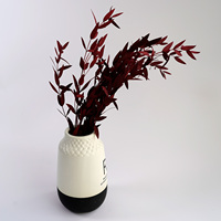 Eucalyptus séché et fleurs séchées pour la décoration intérieure, feuilles vertes naturelles pour les célébrations de Noël et de remise des diplômes, respectueux de l'environnement