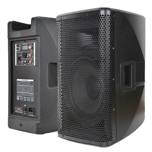 Accuracy Pro Audio CAO10DSP 10 inch DSP powered speakers home party pa amplifier board module active portable speaker