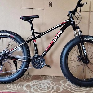 Bicicleta de Montaña con Llantas Anchas de 20 Pulgadas, 21 Velocidades, Frenos de Disco Dobles, Horquilla de Suspensión, Llanta de Aleación de Aluminio, Capacidad de Carga de 120 kg - Product Image 3