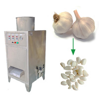 Meilleur prix pour une machine à éplucher les gousses d'ail automatique en acier inoxydable, capacité de 150 kg/h, longue durée de vie