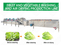 Hoge Kwaliteit Groene Bladgroente En Fruit Wassen & Droge Machine Kerncomponenten Incl.