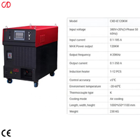 Chauffe-inducteur électromagnétique numérique automatique haute température de 120 kW pour applications de systèmes de conduites d'huile