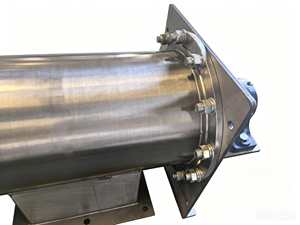 Convoyeur à vis en acier inoxydable 304 pour ligne de blanchiment des amandes - Product Image 6