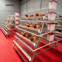 Cage à poules en acier galvanisé durable pour 200 oiseaux, équipement d'élevage avicole commercial