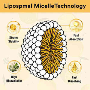 Oral sıvı lipozomal Micelle magnezyum Bisglycinate uyku, kemik ve kas gevşemesi için ek damlalar düşer - Product Image 6