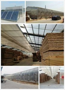 Máquina de tratamiento de madera de gran capacidad Nueva condición Horno de secado de madera Horno secador de madera