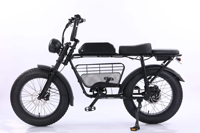 Bicicleta eléctrica para adultos, bicicleta eléctrica de largo alcance para desplazamientos, bicicleta eléctrica para mascotas, bicicleta eléctrica todoterreno con cesta, bicicleta eléctrica urbana para desplazamientos.