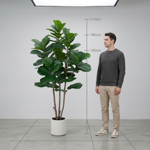 OH ARTS Ficus Lyrata Artificiale Lussureggiante in Vaso Bianco Moderno, Pianta Finta di Lusso per Arredamento Nordico - Product Image 5