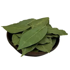 Gxww China Guangxi Yulin Traditional Dry Origin Natural No Add Single Spices Herbs Bay Leaf