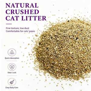 Échantillon Gratuit OEM Litière pour Chat à Fort Pouvoir Agglomérant à Base de Bentonite, Contrôle Supérieur des Odeurs, Naturelle, Faible Émission de Poussière, Idéale pour les Foyers Multi-Chats - Product Image 3