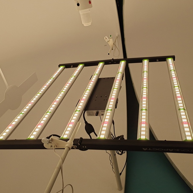 720 w Grow Lights High Yield Full Spectrum Dimmable Grow Led Light 650w Greenhouse Led Grow Light bar Horticulture