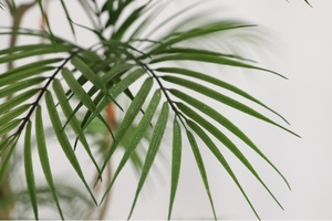 120-200cm artificielle Fernleaf <span class=keywords><strong>haie</strong></span> <span class=keywords><strong>bambou</strong></span> en pot pour jardin maison bureau salle de bain décoration artificielle <span class=keywords><strong>bambou</strong></span> palmier - Product Image 3