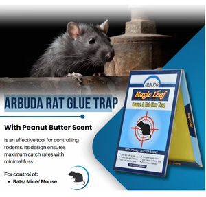 Trampa de pegamento extra grande con adhesivo súper fuerte para la captura a largo plazo de ratas, ratones, cucarachas e insectos que gatean - Product Image 4