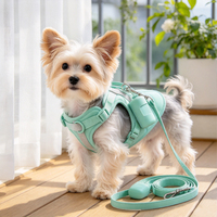 Harnais pour chien en nylon rembourré léger, couleur personnalisée, avec rivets en alliage, néoprène, sécurité, réglable, contrôle facile, patrouille en extérieur
