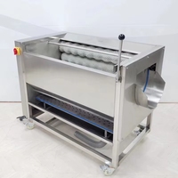 Laveuse automatique de fruits et légumes avec brosse rotative pour pommes de terre, taro, gingembre, homard, concombre de mer et machine à éplucher